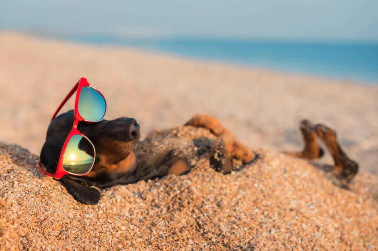 Villaggio Turistico Camping Il Fontino Scarlino Eksteriør bilde