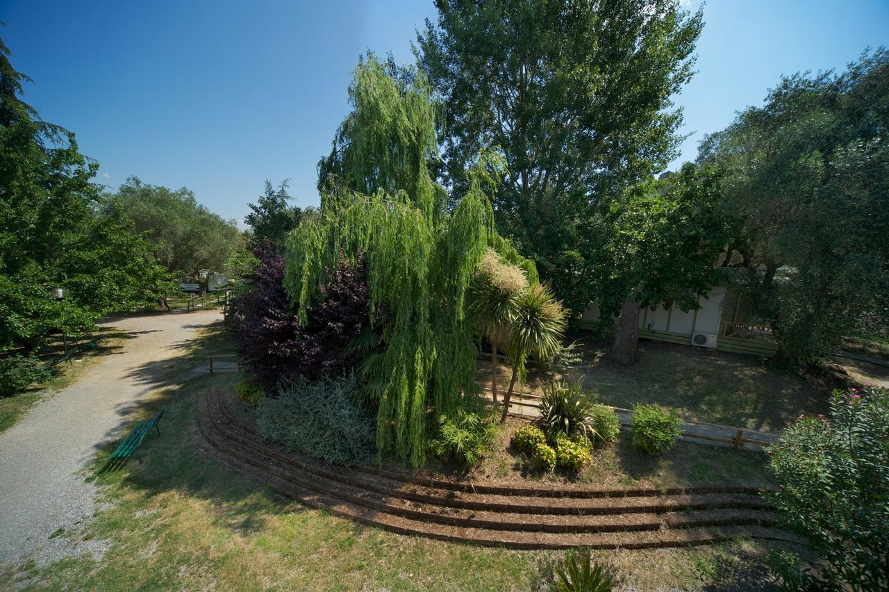 Villaggio Turistico Camping Il Fontino Scarlino Eksteriør bilde