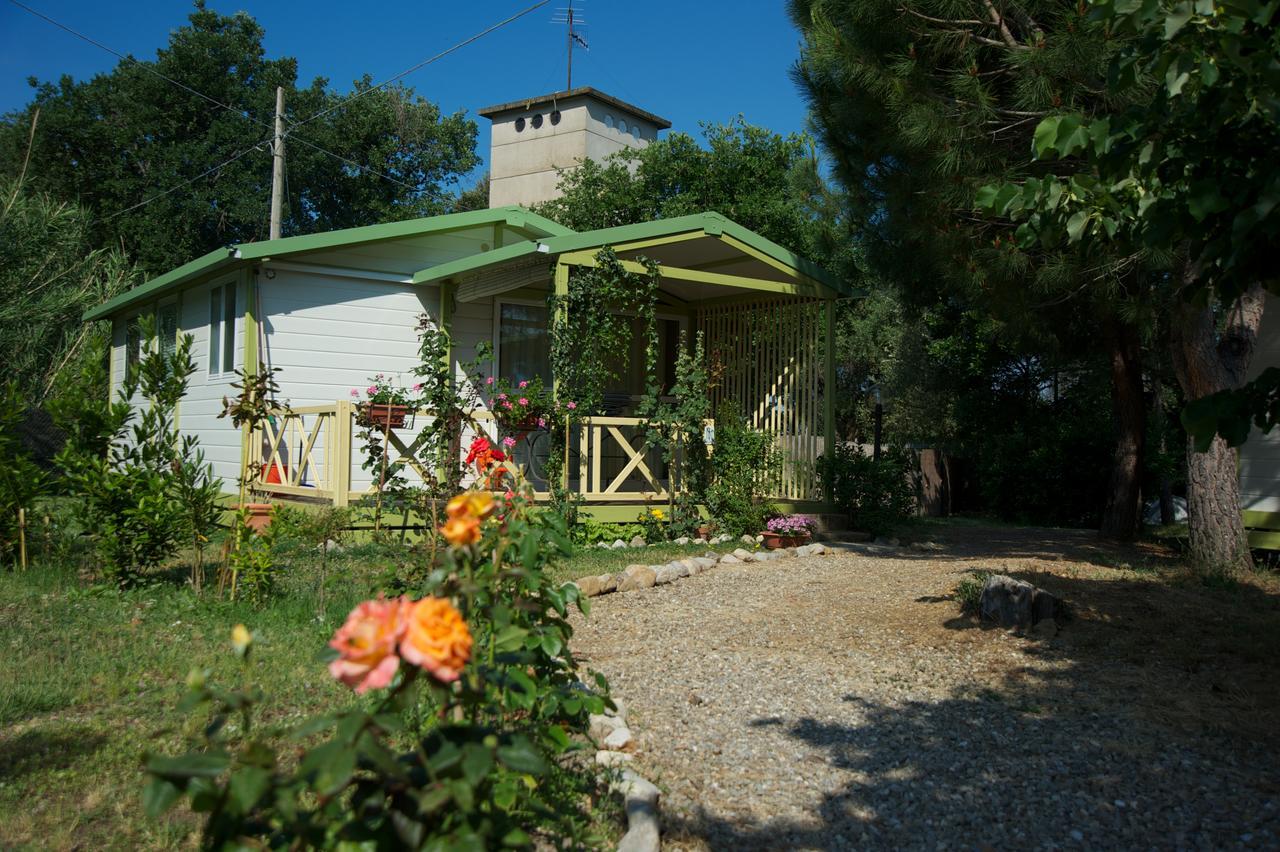 Villaggio Turistico Camping Il Fontino Scarlino Eksteriør bilde